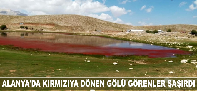 Alanya'da kırmızıya dönen gölü görenler şaşırdı!