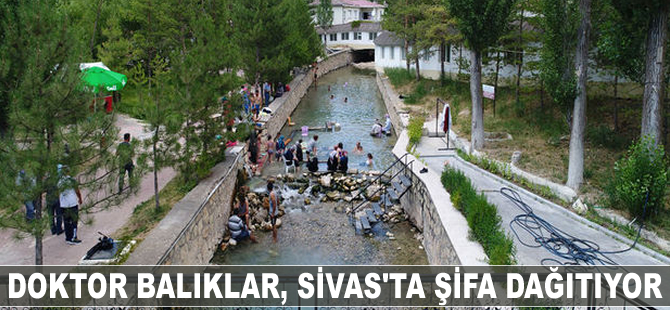 Doktor balıklar Sivas'ta şifa dağıtıyor