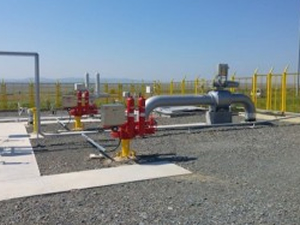 Bulgaristan-Türkiye doğalgaz aktarım boru hattı açıldı