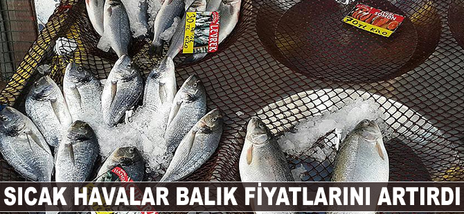 Sıcak hava balık fiyatlarını artırdı