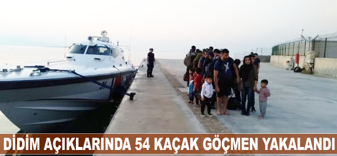 Didim'de 54 kaçak göçmen yakalandı