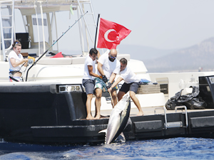 MOST Bodrum Turnuvası'nda en büyük balığı yakamak için yarışacaklar