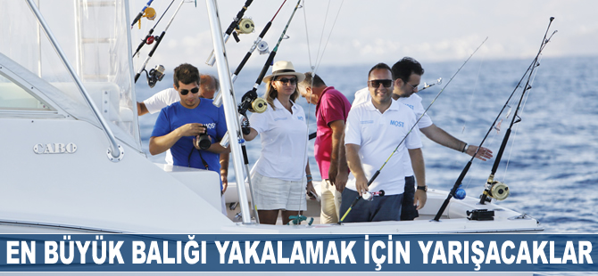 MOST Bodrum Turnuvası'nda en büyük balığı yakamak için yarışacaklar