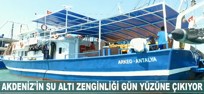 Akdeniz'in su altı zenginliği gün yüzüne çıkıyor