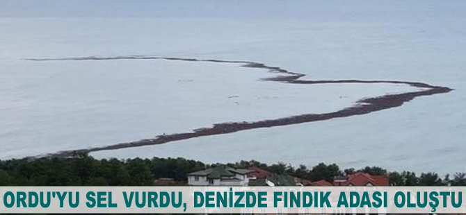 Ordu'yu sel vurdu, denizde fındık adası oluştu