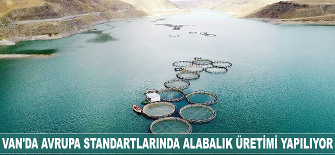 Van'da Avrupa standartlarında alabalık üretimi yapılıyor