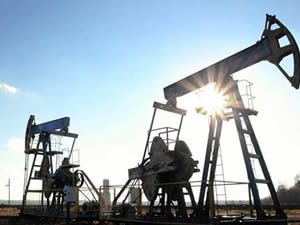 TPAO iki şehirde petrol aramak için başvuru yaptı
