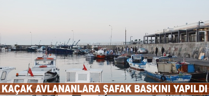 Kaçak avlananlara şafak baskını yapıldı