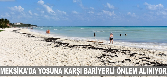 Meksika'da yosuna karşı bariyerli önlem alındı