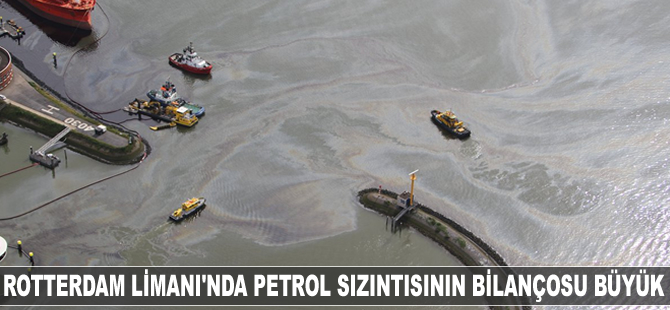 Rotterdam Limanı'nda petrol kirliliğinin bilançosu 90 milyon dolar!