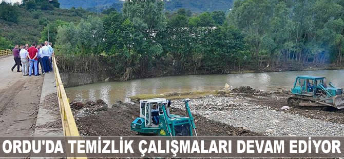 Ordu'da temizlik çalışmaları devam ediyor