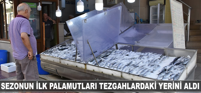 Sezonun ilk palamutları tezgahlardaki yerini aldı