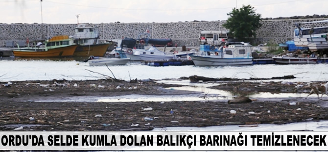 Selde kumla dolan balıkçı barınağı temizlenecek