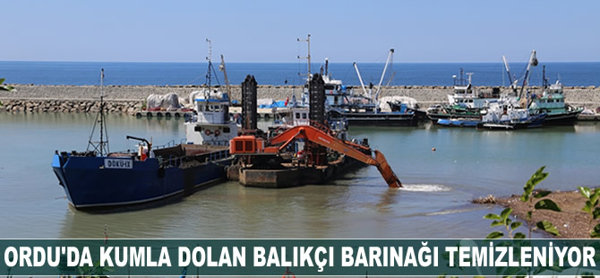 Ordu'da kumla dolan balıkçı barınağı temizleniyor