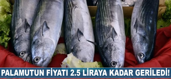 Palamutun fiyatı 2.5 liraya geriledi