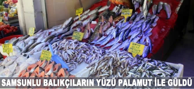 Karadeniz'de palamut yüzleri güldürdü
