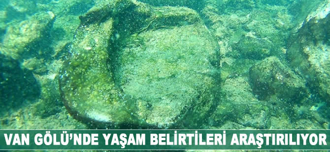 Van Gölü'nde yaşam belirtileri araştırılıyor