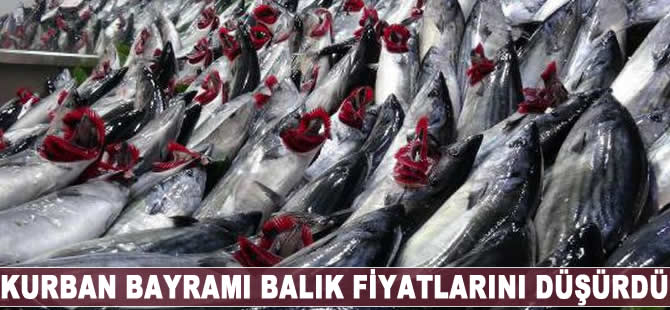 Kurban Bayramı balık fiyatlarını düşürdü