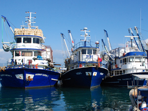 Balıkçılar av sezonuna 'Vira Bismillah' diyor