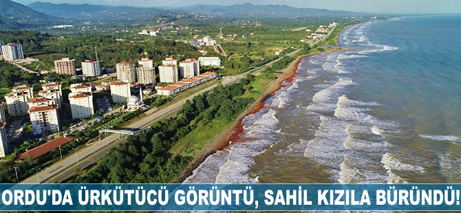 Ordu’da ürkütücü görüntü, sahil kızıla büründü!