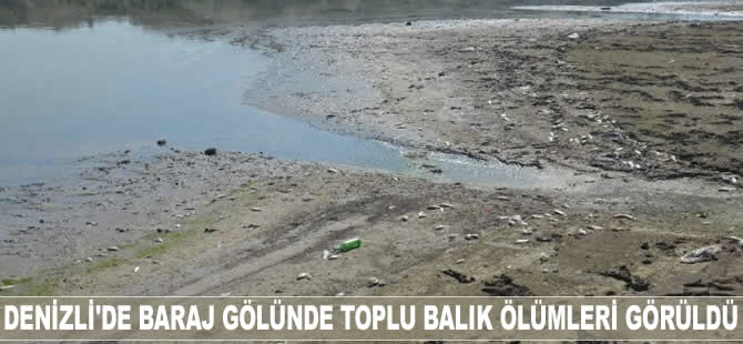 Denizli'de baraj gölünde toplu balık ölümleri görüldü