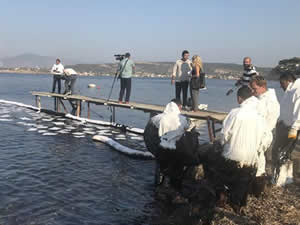 Foça'da petrol sızıntısını temizleme çalışmaları yeniden başladı