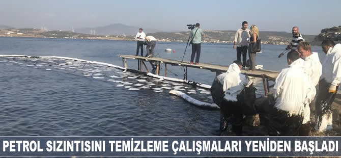 Foça'da petrol sızıntısını temizleme çalışmaları yeniden başladı