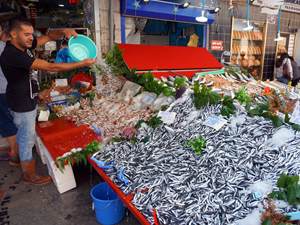 Palamut, tezgahlarda 15 liradan satılıyor