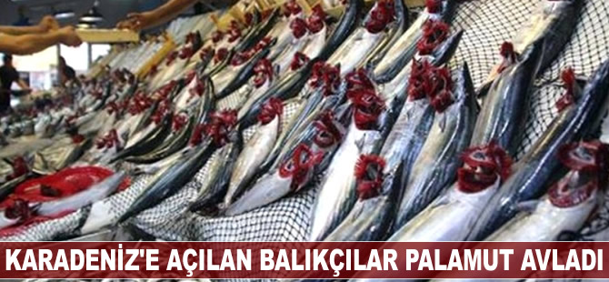 Karadeniz'e açılan balıkçılar palamut avladı