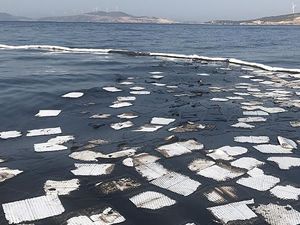 Foça'da petrol sızıntısına ilişkin 22 gemiden numune alındı