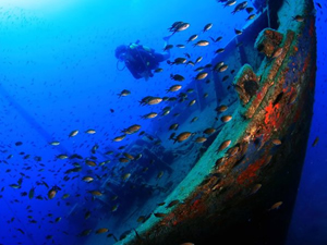 Bodrum'un su altı güzellikleri dünyaya tanıtılacak