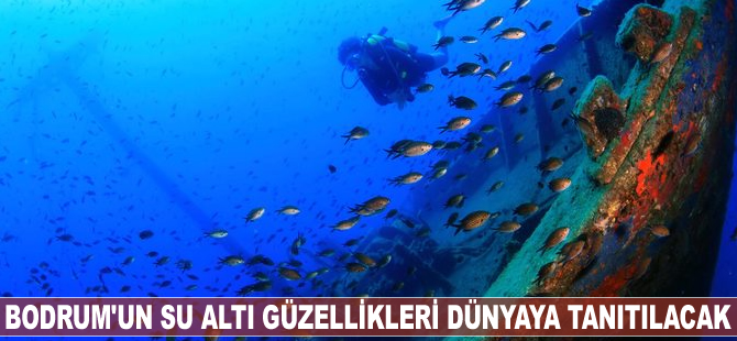 Bodrum'un su altı güzellikleri dünyaya tanıtılacak