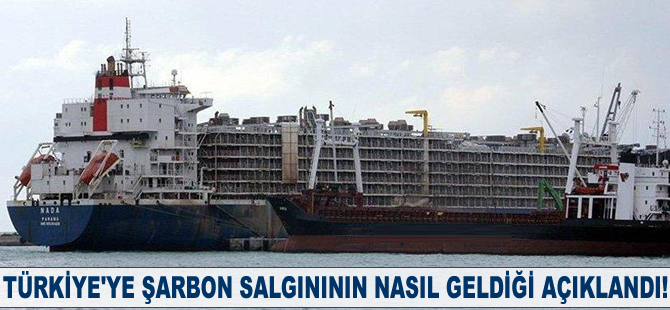 Türkiye'ye şarbon salgınının nasıl geldiği açıklandı!