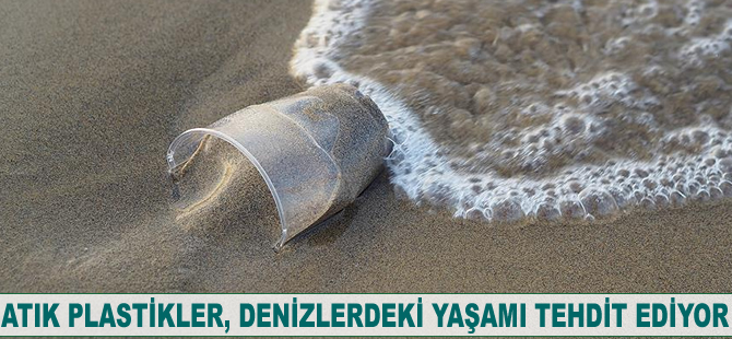 Atık plastikler denizdeki yaşamı tehdit ediyor