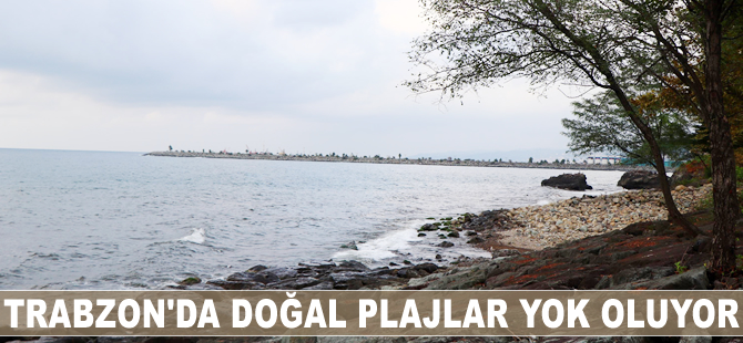 Trabzon'da doğal plajlar yok oluyor