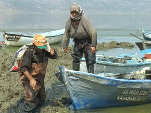 Denizi yok ama Uzak Doğu'ya balık ihraç ediyor