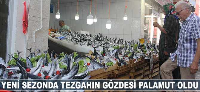 Yeni sezonda tezgahın gözdesi palamut