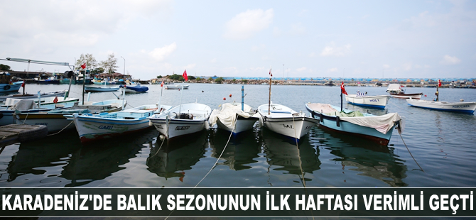 Karadeniz'de balık sezonunun ilk haftası verimli geçti