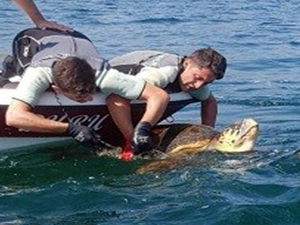 Uzatma ağına takılan carettayı Sahil Güvenlik kurtardı