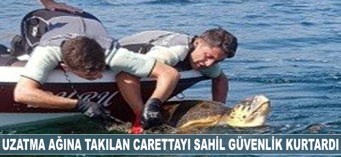Uzatma ağına takılan carettayı Sahil Güvenlik kurtardı
