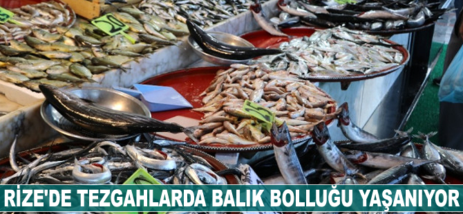 Rize'de tezgahlarda balık bolluğu yaşanıyor