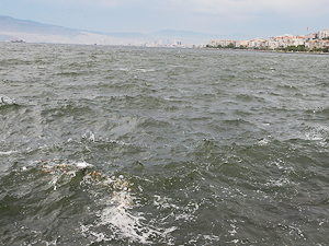 Analiz değerleri körfezin kirli olduğunu gösteriyor