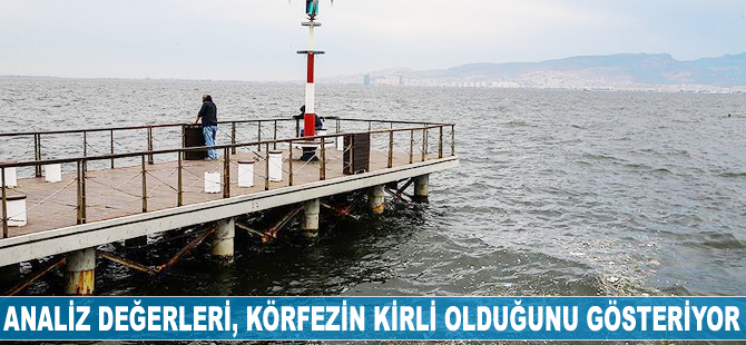 Analiz değerleri körfezin kirli olduğunu gösteriyor