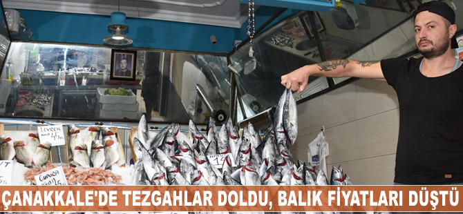 Çanakkale'de tezgahlar doldu, balık fiyatları düştü