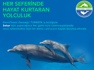 Setur ve TURMEPA’nın iş birliği ile deniz canlıları koruma altında