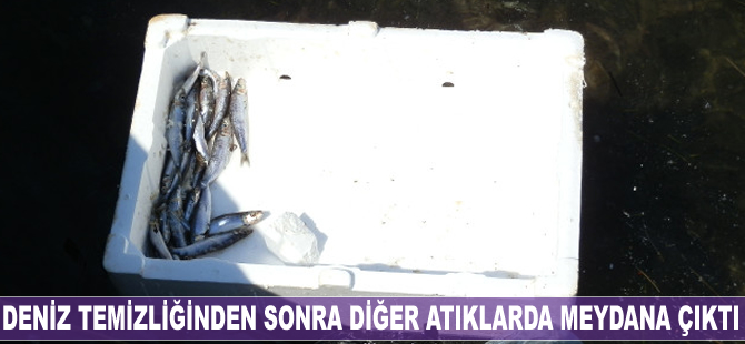 Foça'da deniz temizliğinden sonra diğer atıklarda meydana çıktı