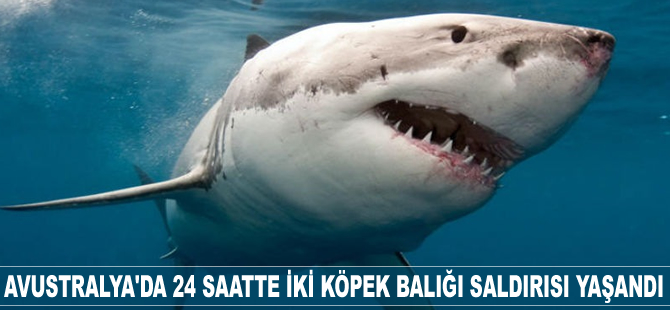 Avustralya'da 24 saatte iki köpek balığı saldırısı yaşandı