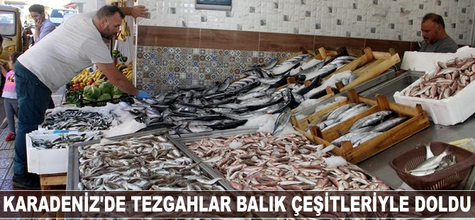 Karadeniz'de tezgahlar balık çeşitleriyle doldu