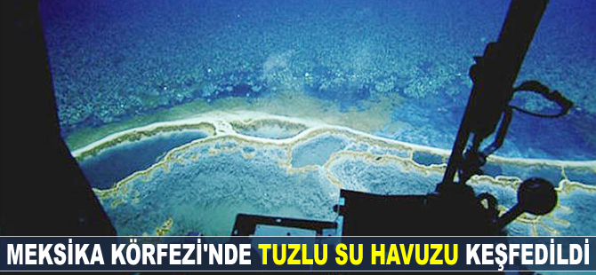 Meksika Körfezi'nde 'tuzlu su havuzu' keşfedildi