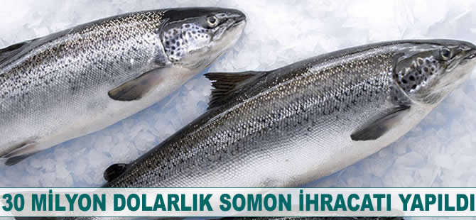 30 milyon dolarlık somon ihracatı yapıldı